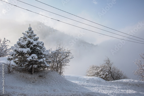 Allphotokz Chimbulak 20170124 5638 D810 photo