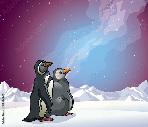 Penguins, mountains and night sky