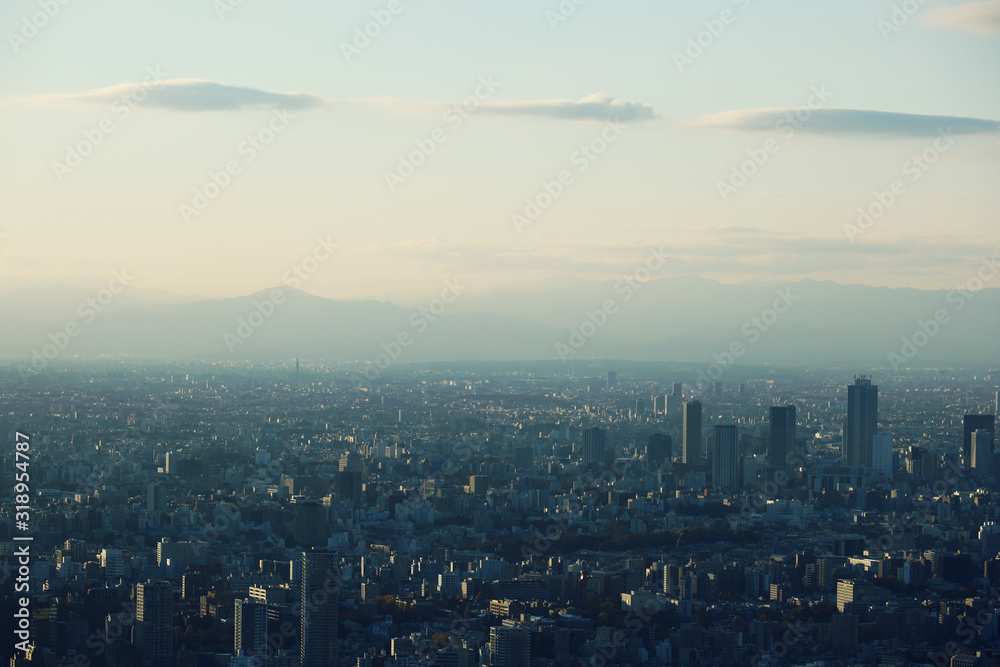 Fototapeta premium Tokyo city landscape and offices building in Tokyo, Japan.