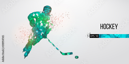 Abstract silhouette of a hockey player from particles. Dots, lines, triangles text color effects and background on a separate layers. Low poly neon wire outline geometric polygonal vector illustration