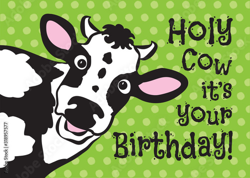 Vector illustration of a cow wishing a happy birthday. Birthday greeting card. funny greeting card. Cow greeting card