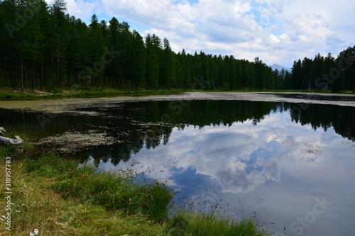 Fototapeta Naklejka Na Ścianę i Meble -  forêt en miroir dans un lac de montagne