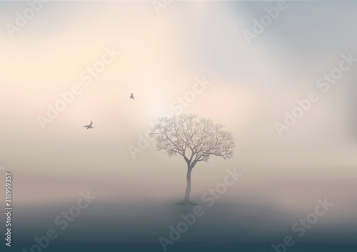 Pendant la saison d   hiver  le jour se l  ve sur un paysage de campagne  avec pour unique d  cor un arbre sans feuille perdu dans la brume.