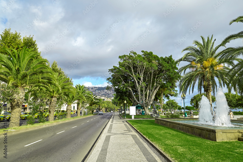 Street in Madeira Portugal full of greenery and palm trees