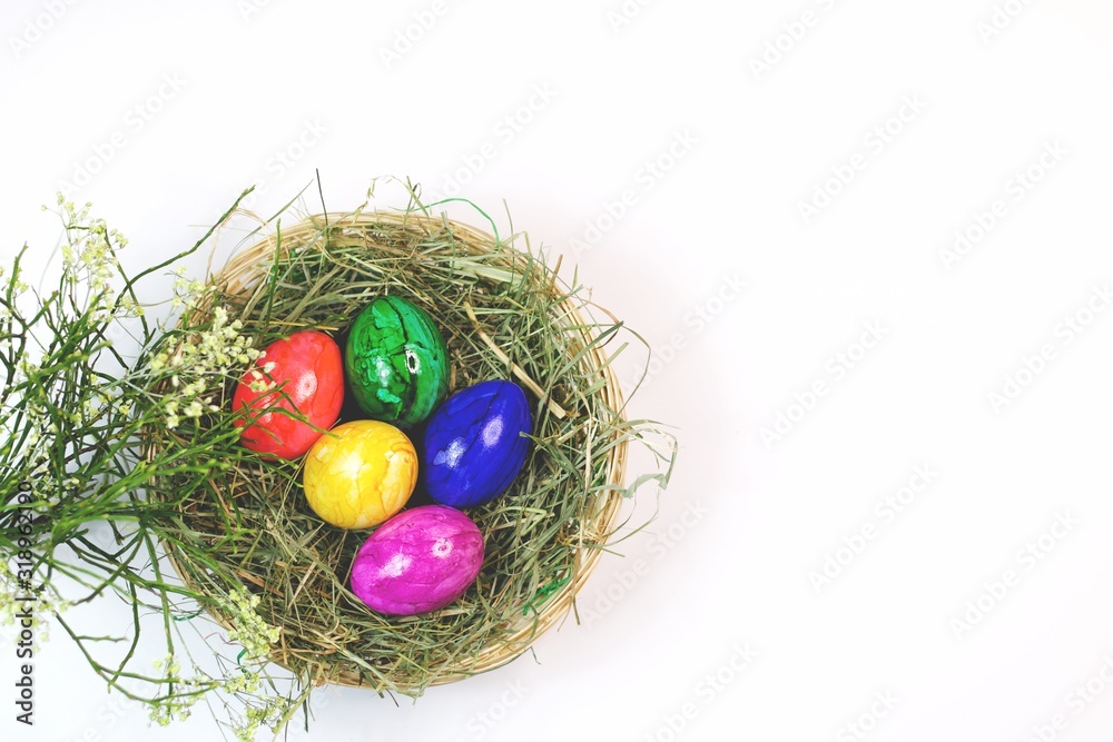 Obraz premium Easter eggs in the nest easter