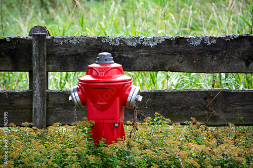 Water hydrant stands in the grass