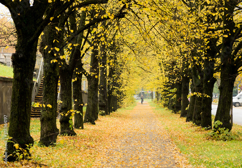 Beautiful nature scenery in Latvia, Riga (Gaujas street) photo