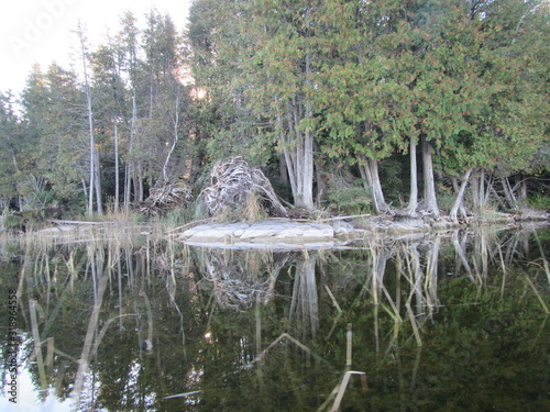 reflection in river