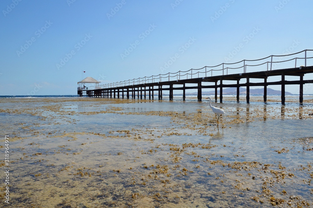 Nabq Bay is a paradise of the mysterious underwater world. This is the northernmost, farthest and most developing part of Sharm. The beach of the Sharm Grand Plaza hotel.