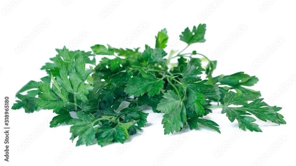 Fresh parsley isolated on a white background, vegetable. Fresh parsley isolated on a white background, vegetable.