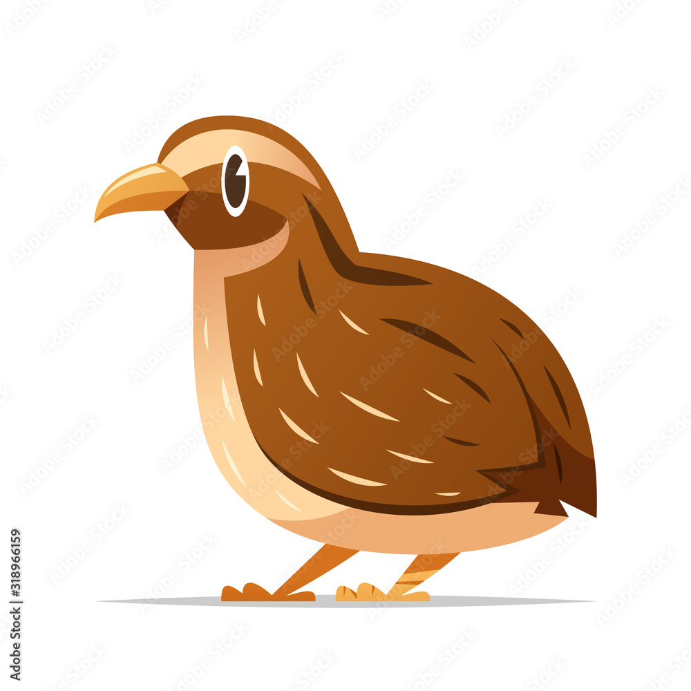 Cartoon quail bird vector isolated illustration Stock Vector | Adobe Stock