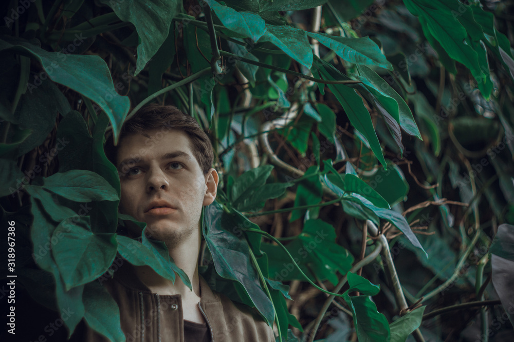 Portrait of a young man in green leaves. A nice guy is standing against a wall of green plants. A close-up of a white man in ivy thickets.