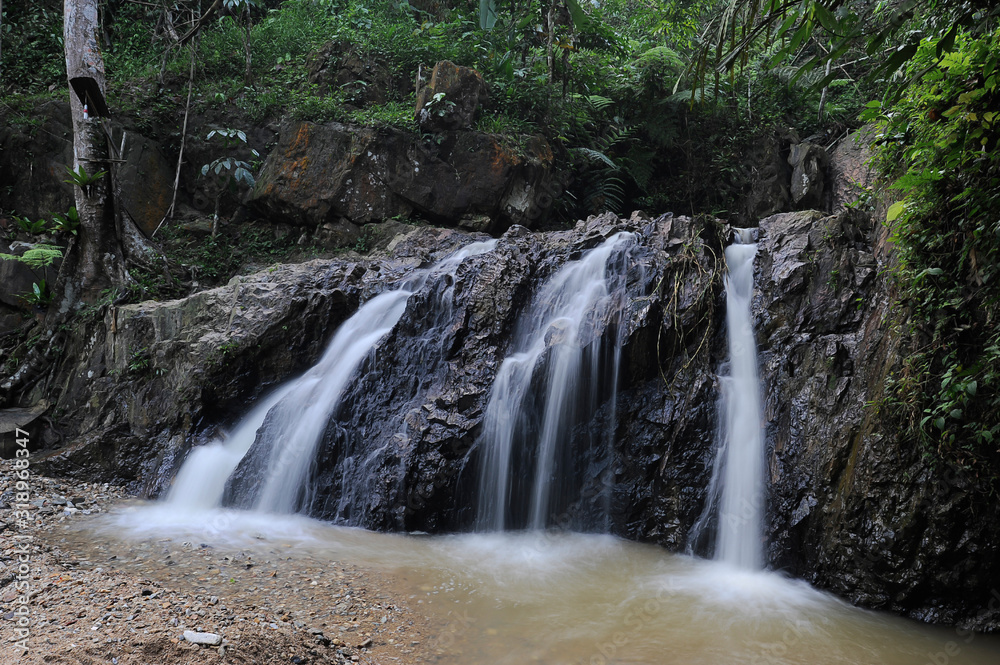 Waterfall/stream in a deep rain forest.