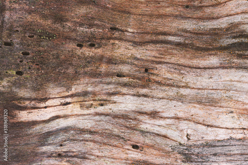 Old Wood Texture - Weathered Wood Background