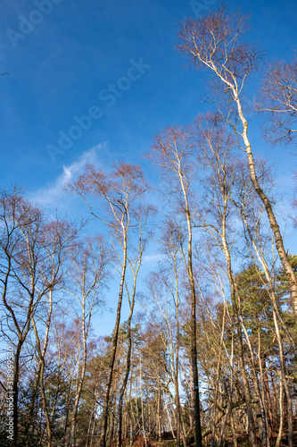 Burton Mill Walk Through Southdown National Park photo