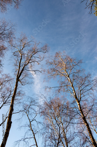 Burton Mill Walk Through Southdown National Park photo