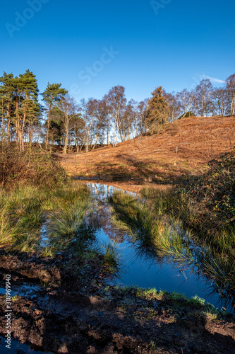 Forestry and Nature Reserve photo