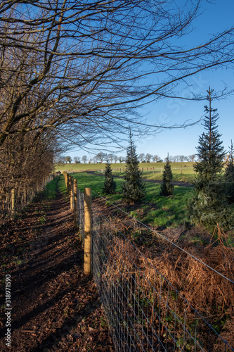 Burton Mill Walk, Southdown National Park photo