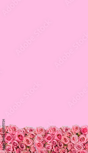 Flowers background.Pink roses on a pink background, wedding decoration, handmade.Valentine's day, women's day, mother's Day.Decoration.Textile.Photophone.Greeting card.vertically.mock up.copy space