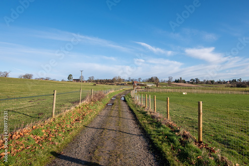 Burton Mill Walk, Southdown National Park photo