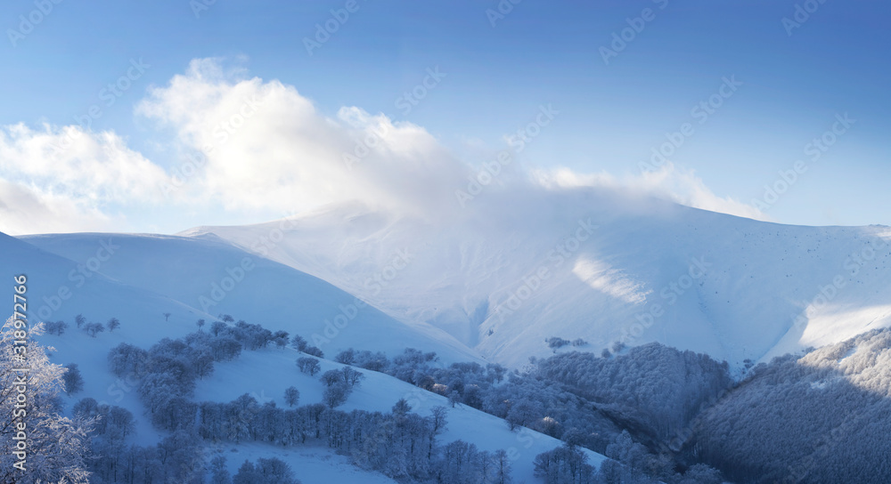empty winter background - landscape panorama of blue top mountains range, clouds, and frozen trees