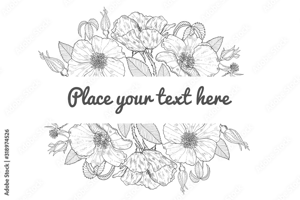 Decorative greeting card with wild roses. Post card with beautiful flowers of rosehip. Free place for text. Vector design.