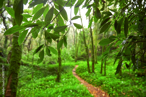 Shot of Sintra Park in Portugal © frimufilms