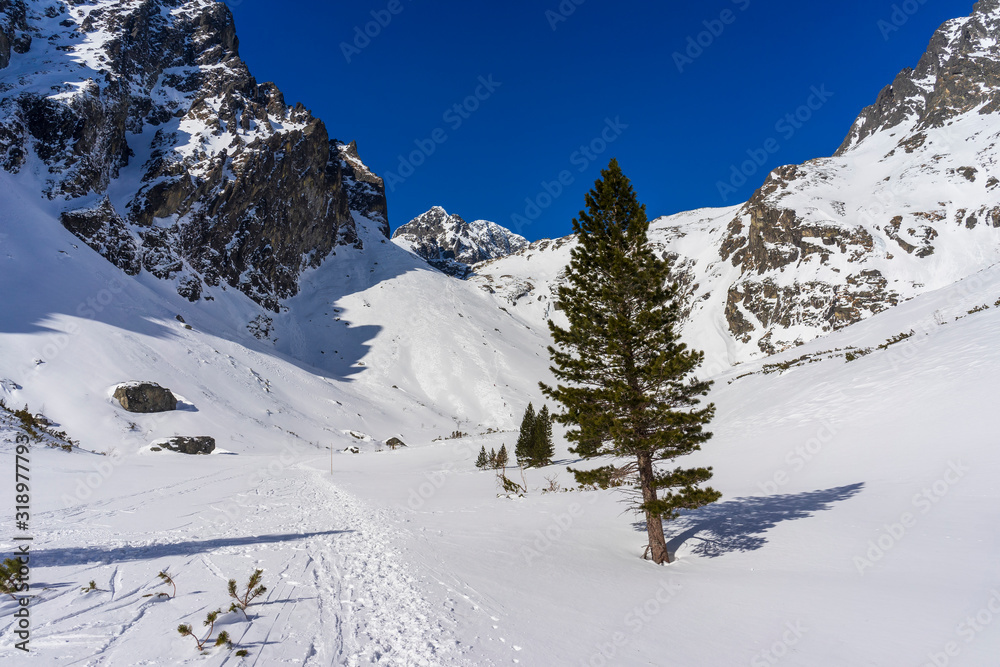 Mala Studena dolina in the winter. Tatra Mountains. Slovakia.