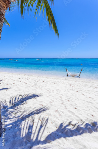 Fototapeta Naklejka Na Ścianę i Meble -  beach with palm trees, the Morne, Mauritius 