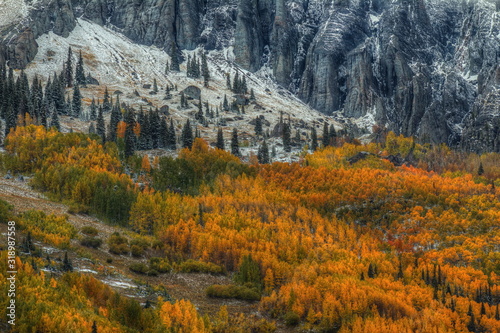 THER FRAGILE AND THE STRONG