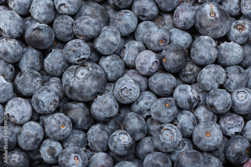 Fresh blueberries background. Cyanococcus