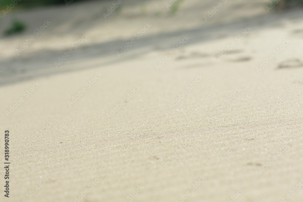 summer sand beach close-up and small sand dunes summer sand beach close-up and small sand dunes