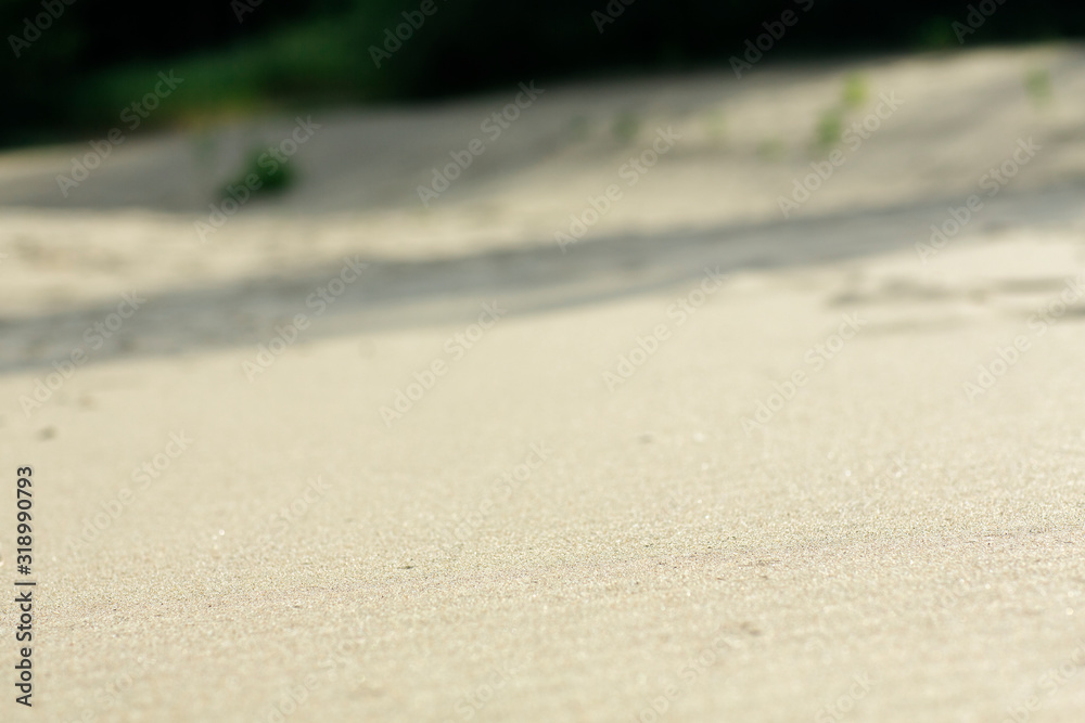 summer sand beach close-up and sand dunes and green trees background summer sand beach close-up and sand dunes and green trees background