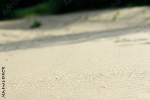 summer sand beach close-up and sand dunes and green trees background