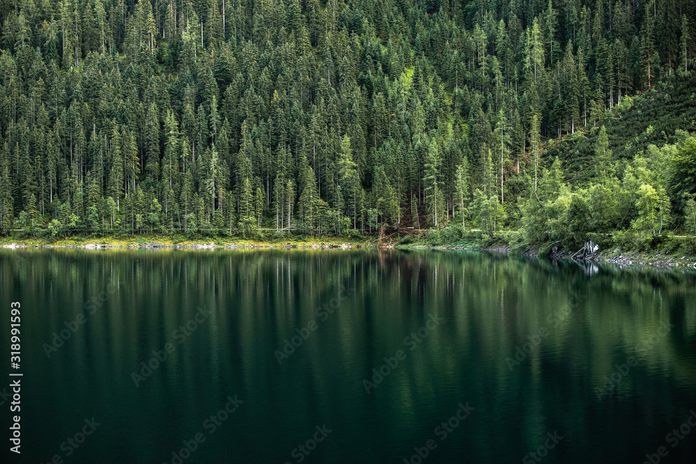 Coniferous green pine forest reflections in crystal and calm deep water of the lake in Austria,Tyrol. Majestic nature landscape.