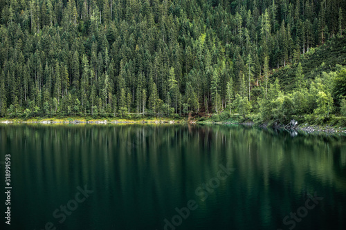 Coniferous green pine forest reflections in crystal and calm deep water of the lake in Austria,Tyrol. Majestic nature landscape.