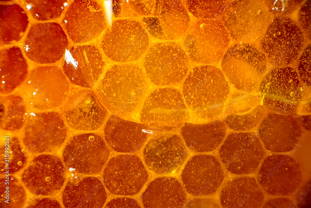 Honey Close up Amber Sweet Honey In Honeycomb Transparent Honey Flows 