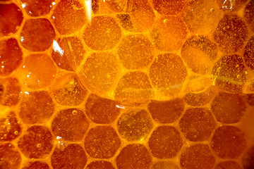 Honey close-up. Amber sweet honey in honeycomb. Transparent honey flows down the honeycomb