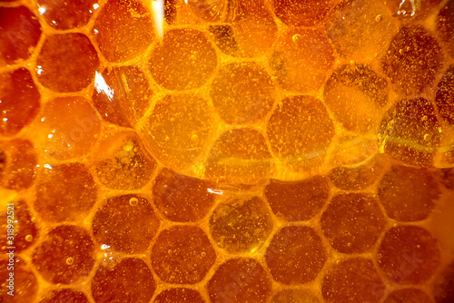 Valokuvatapetti Honey close-up