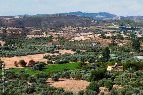 Wallpaper Mural Valley with olive trees and rural houses. Cyprus Torontodigital.ca