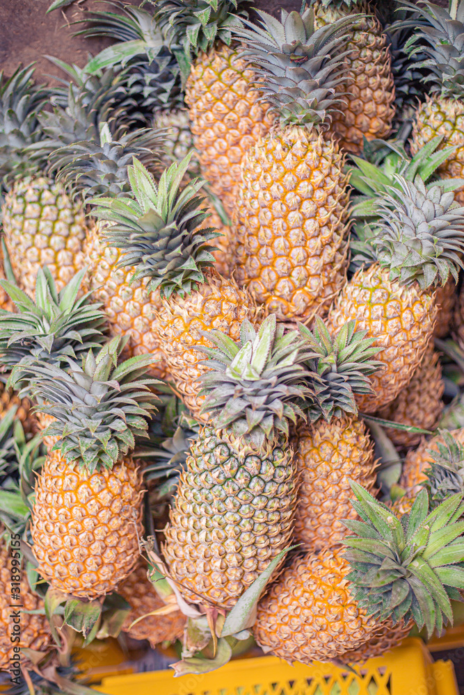 pineapples at the market pineapples at the market