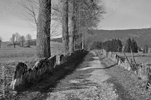 Stradina di montagna in bianco e nero, cartolina di altri tempi...