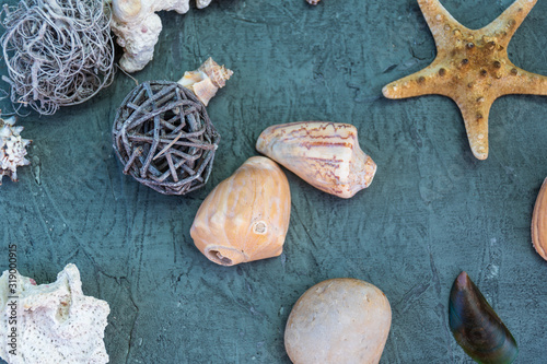 sea shells and stones