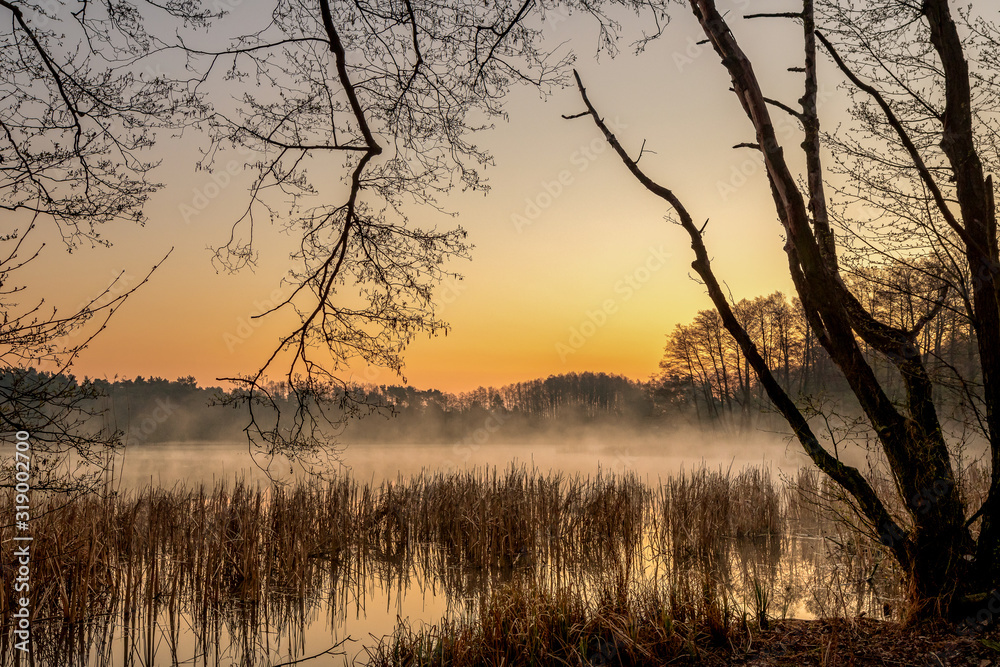 A sunrise on a small lake with fog and golden warm light. Concept: landscapes and nature
