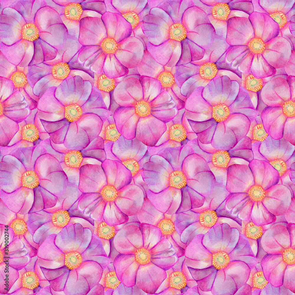 Seamless pattern with rose hips.