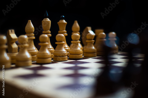 Chess is a logic Board game with special pieces on a 64-cell Board for two opponents  combining elements of art  in terms of chess composition   science and sports