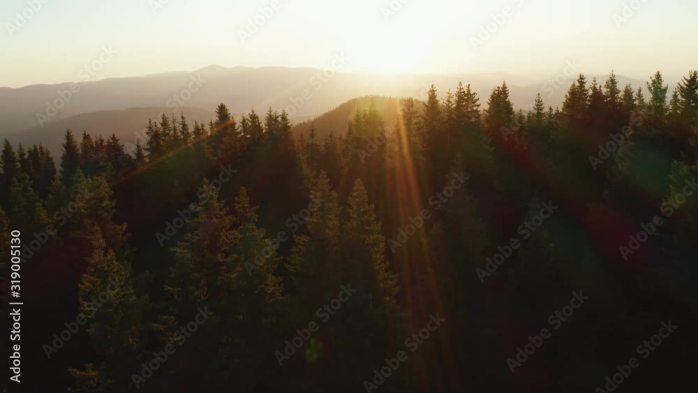 Lens flare of sun through tops of fir trees on panorama of mountain landscape and mountain lake at sunrise in morning in summer against blue sky aerial view of drone forward. Nature. Relax Lens flare of sun through tops of fir trees on panorama of mountain landscape and mountain lake at sunrise in morning in summer against blue sky aerial view of drone forward. Nature. Relax