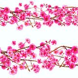 Watercolor sakura japan cherry branch . Blooming flowers. Spring pink design wallpaper, poster, background, cover, fabric, textile.