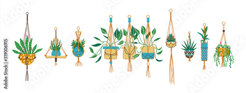 Green tropical macrame house plant set isolated