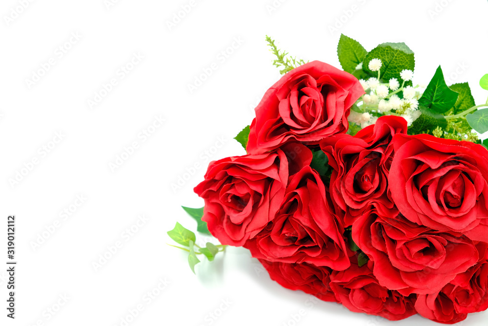 Obraz premium Group of red flower beauty. Bouquet roses symbal of love and valentine day. isolated on white background with copy space for text